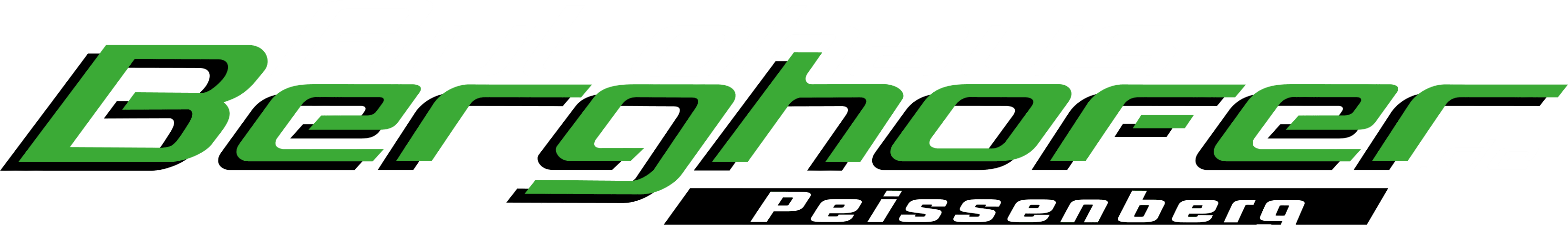 Berghofer Logo Footer